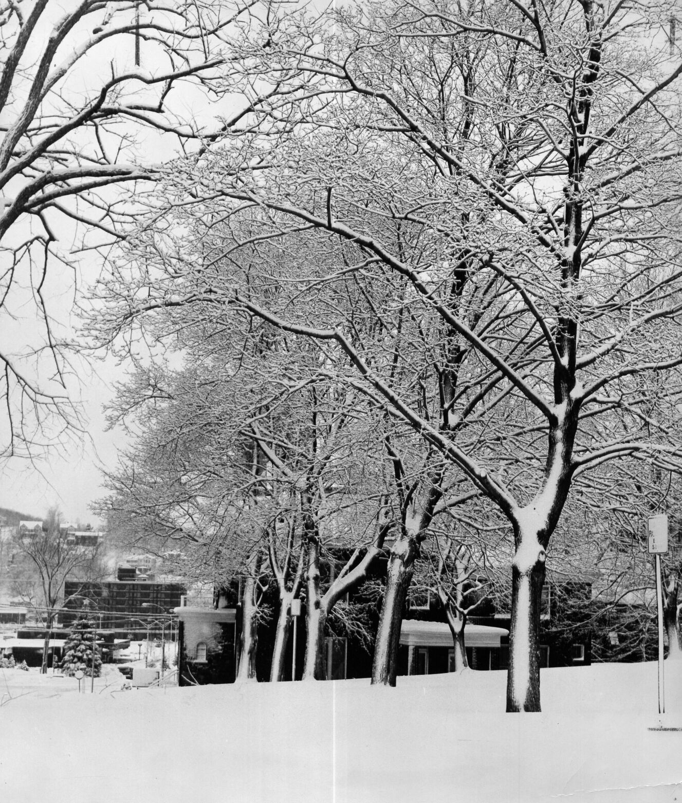 Blizzard of 1978